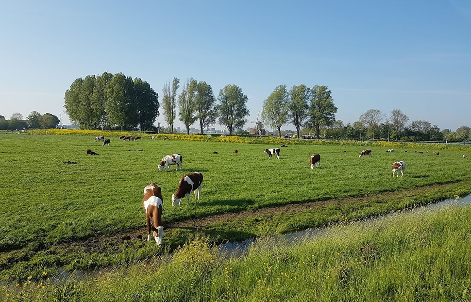 die-schiffbaren-fl-sse-kan-le-und-wasserwege-in-den-niederlanden